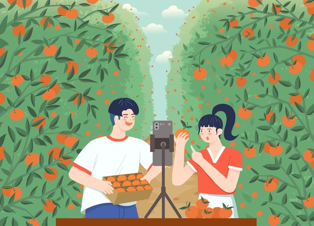 搭建农产品直播带货间_农产品营销ppt_农产品虚拟直播间搭建教程