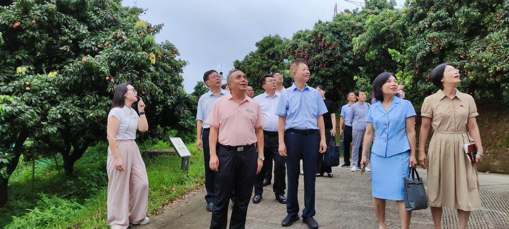 挖掘广州特色农产品资源！政协委员共商助力乡村振兴破局之道？