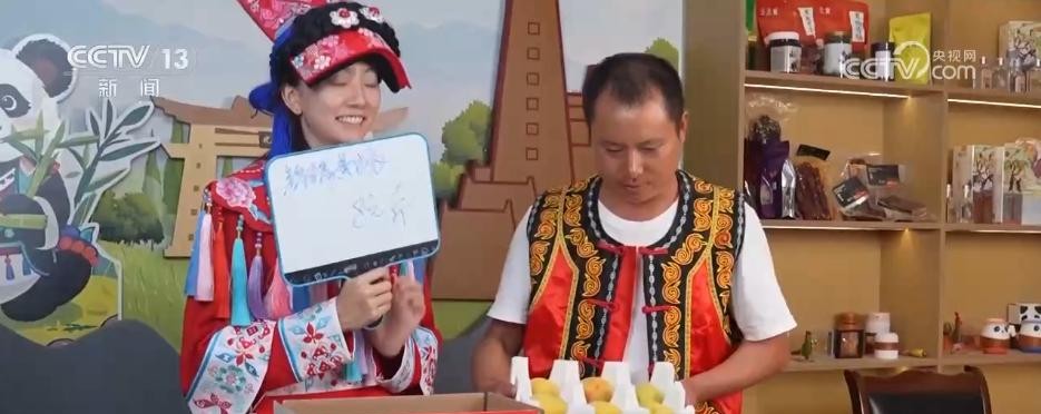 农村电商直播带货_农产品物流配送_贵州农产品电商