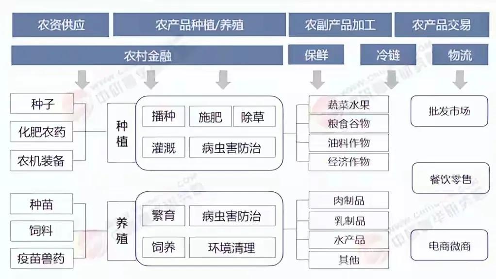 农产品营销策略_科技赋能智慧农业_农产品消费驱动