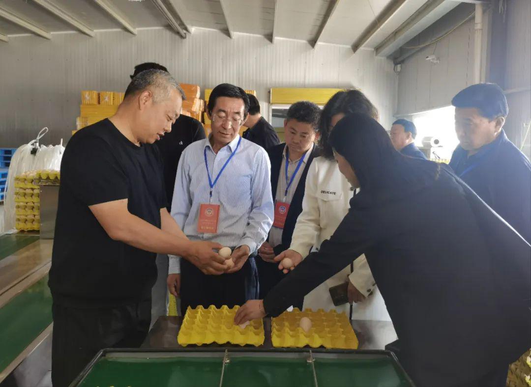 农产品质量安全检测_农产品质量安全监管_家乡农产品调研