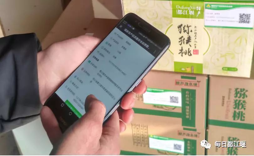 都江堰市国家农产品质量安全追溯平台试点_农产品质量安全追溯_都江堰市农产品质量安全追溯管理