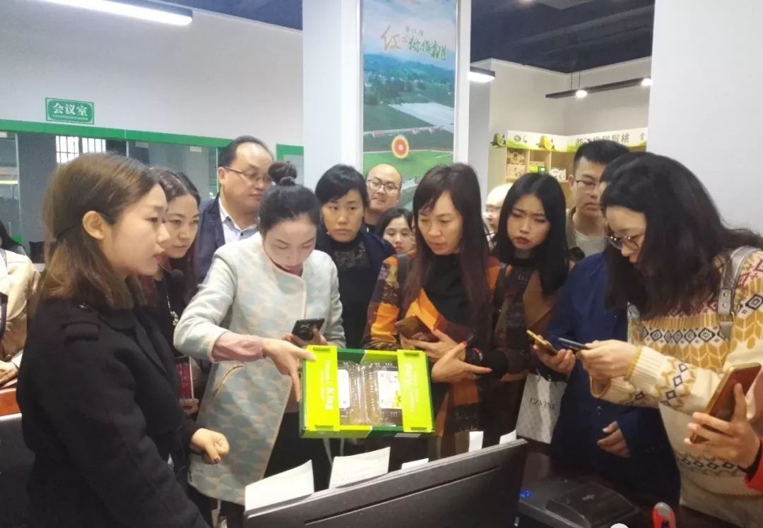 都江堰市农产品质量安全追溯管理_都江堰市国家农产品质量安全追溯平台试点_农产品质量安全追溯