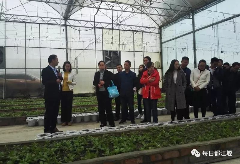 都江堰市国家农产品质量安全追溯平台试点_都江堰市农产品质量安全追溯管理_农产品质量安全追溯
