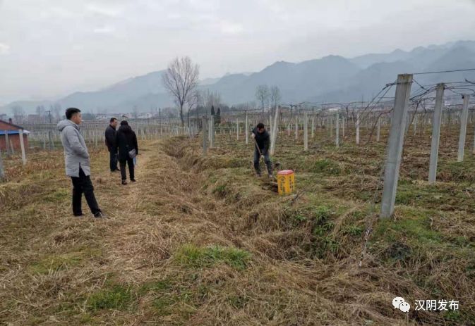 汉阴电子商务进农村示范县农产品溯源系统培训_农产品溯源体系_一中心六平台农产品溯源体系解读