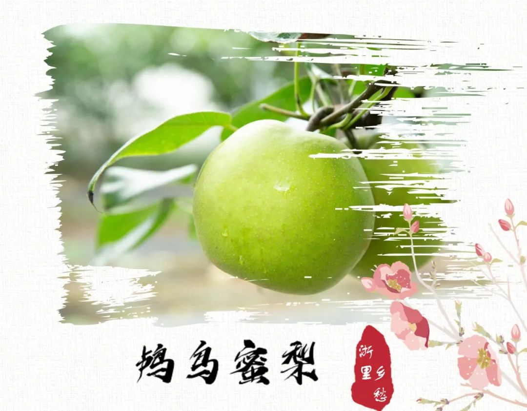 浙江农产品地理标志_农产品 地理标志_安吉竹林鸡地理标志