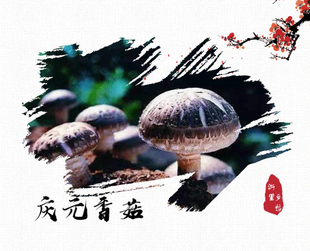 浙江农产品地理标志_农产品 地理标志_安吉竹林鸡地理标志