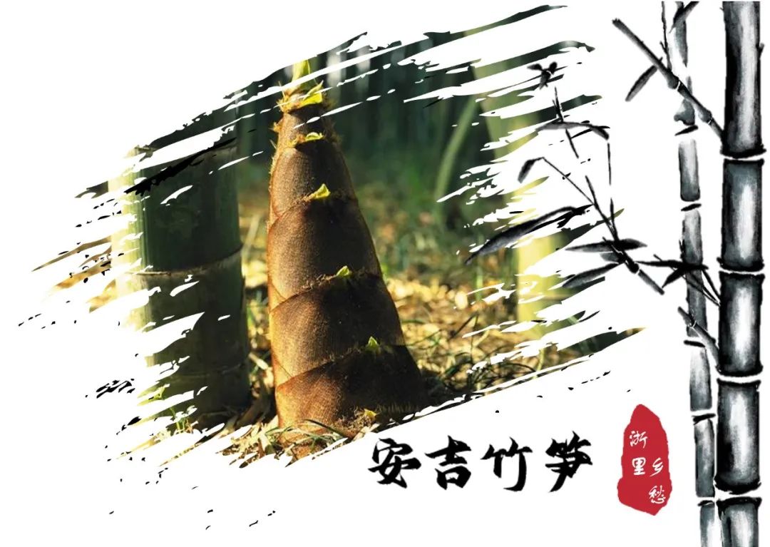 浙江农产品地理标志_安吉竹林鸡地理标志_农产品 地理标志
