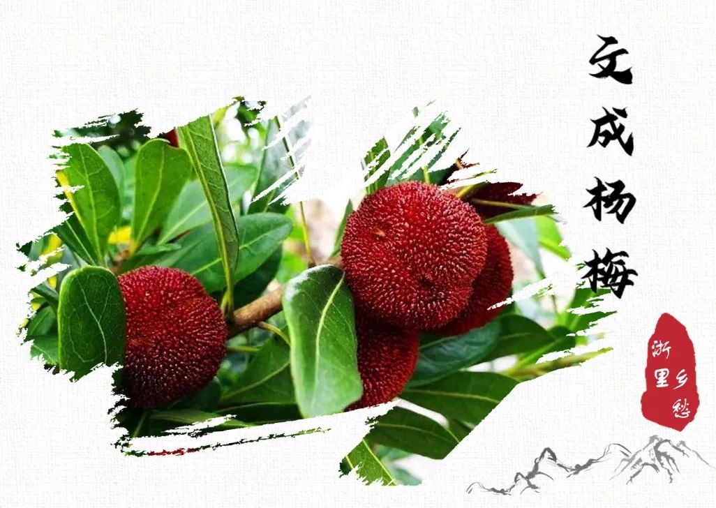 安吉竹林鸡地理标志_浙江农产品地理标志_农产品 地理标志