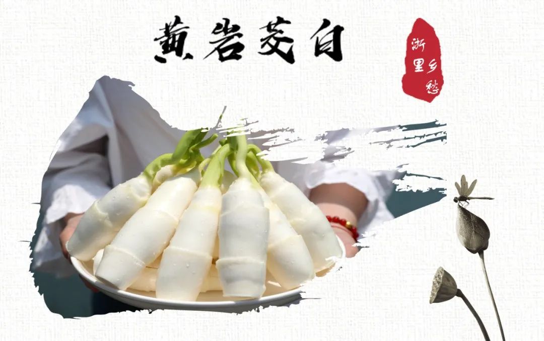 安吉竹林鸡地理标志_浙江农产品地理标志_农产品 地理标志