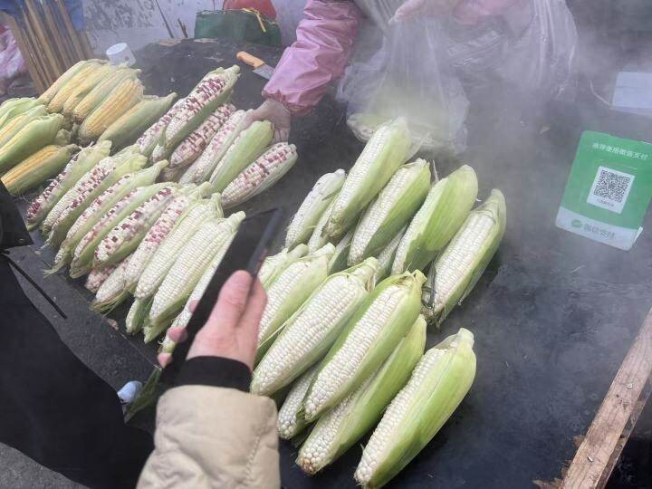 天气转暖农产品市场迎热潮，海南玉米错峰上市成焦点