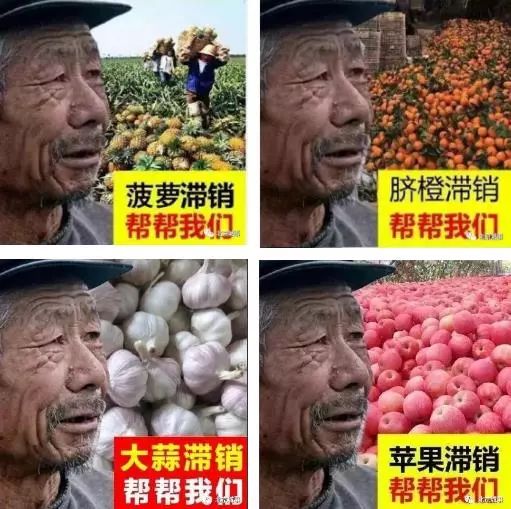 滞销农产品图片造假_今年那里有农产品滞销_农产品滞销信息虚假宣传