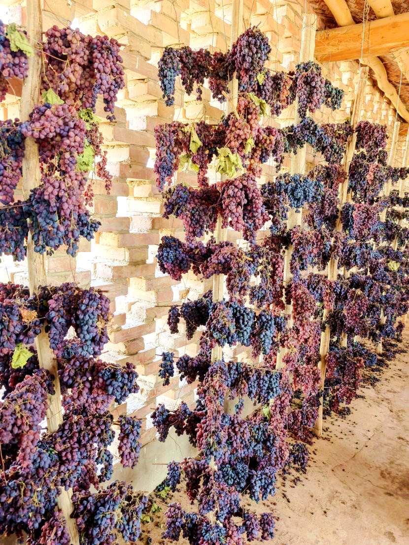 新疆吐鲁番葡萄酒产业高质量发展_新疆世纪西北农产品交易市场_吐鲁番葡萄圣城葡萄酒品牌塑造