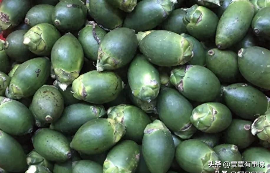 海南农产品物价_南部槟榔黑果价格分析_海南槟榔价格行情