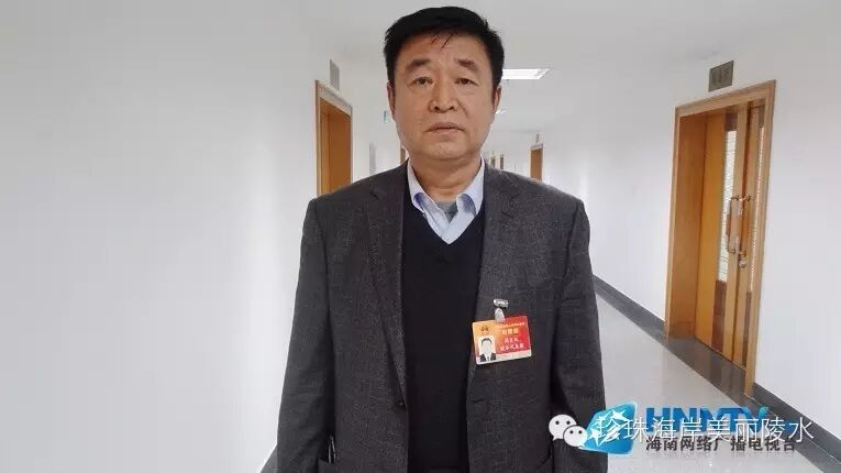 海南农产品电商销售服务平台建设_海南农业电子商务发展_绿色农产品渠道