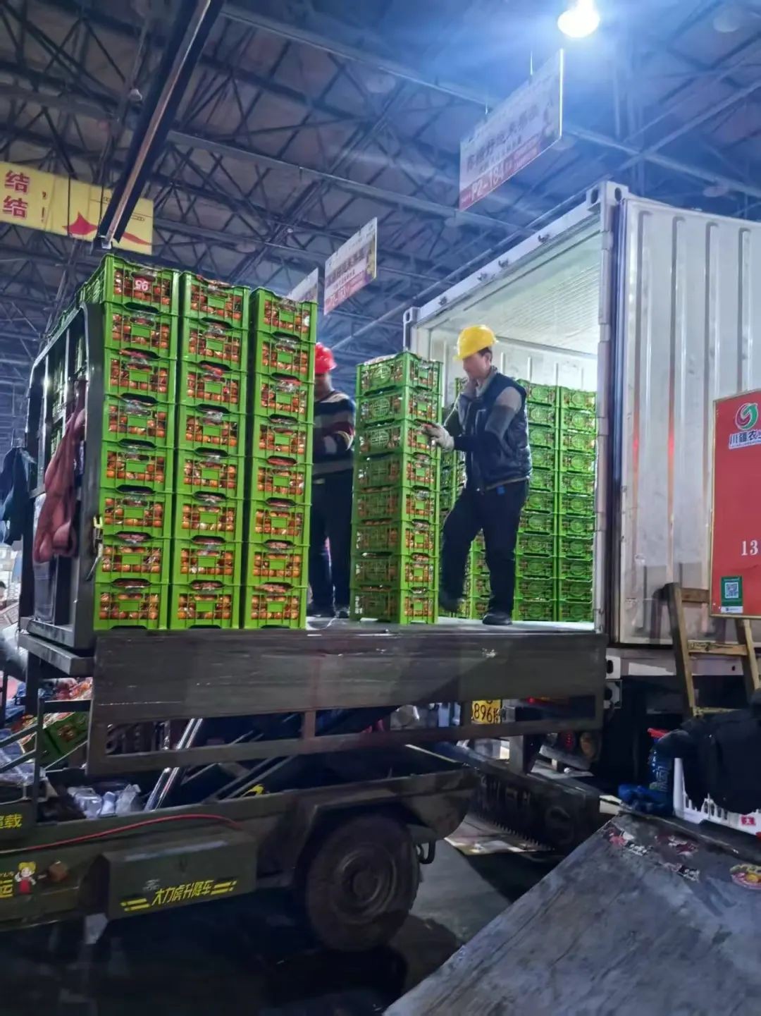 新疆九鼎农产品亚欧国际冷链物流基地TIR+绿色通道_农产品运输绿色通道_乌鲁木齐TIR国际公路运输+农产品出口绿色通道
