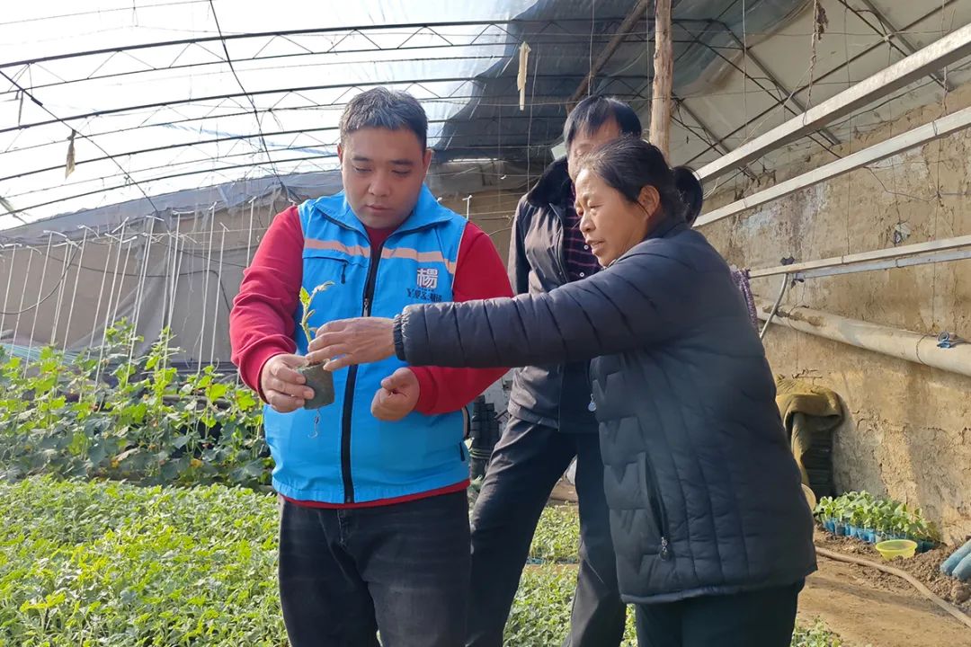 农产品商标图片大全_小店西瓜种植技术_小店西瓜特点