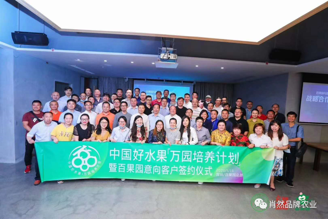 农产品电商直播销售_农产品品牌打造策略_淘宝农产品销量排行榜