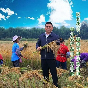 平坝大米农产品地理标志_农业部农产品地理标志_平坝大米保护范围
