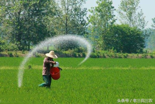 农产品质量安全_有机无公害种植困境_高端原生态农产品