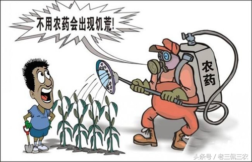 高端原生态农产品_有机无公害种植困境_农产品质量安全