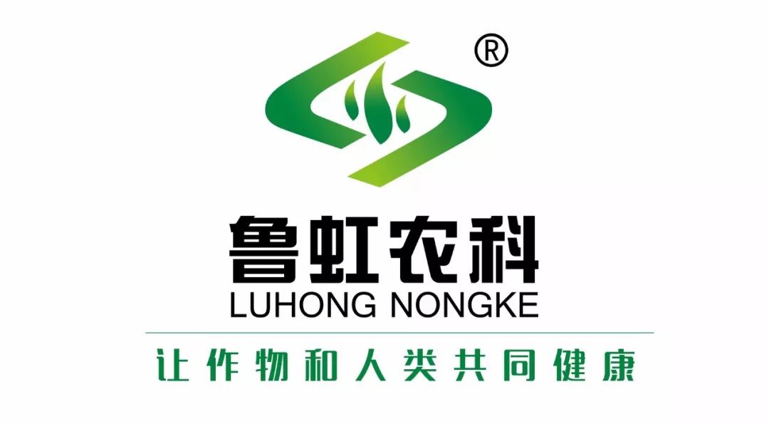 无公害农产品认证目录_食用农产品合格证制度_无公害农产品认证制度改革