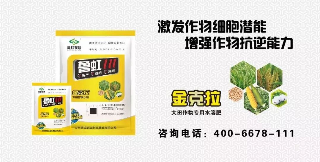无公害农产品认证目录_无公害农产品认证制度改革_食用农产品合格证制度