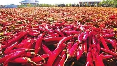 农产品增值率_吉林省农产品产地初加工_农产品贮藏保鲜技术
