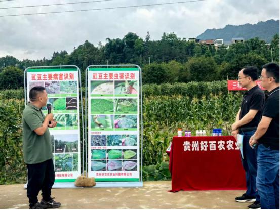 农产品质量安全培训班_农资安全 绿色防控技术 茶叶种植
