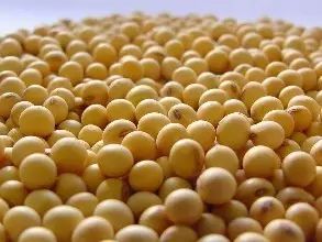 无公害农产品控制措施_食用农产品合格证管理办法 食用农产品合格证试点省份 食用农产品合格证制度
