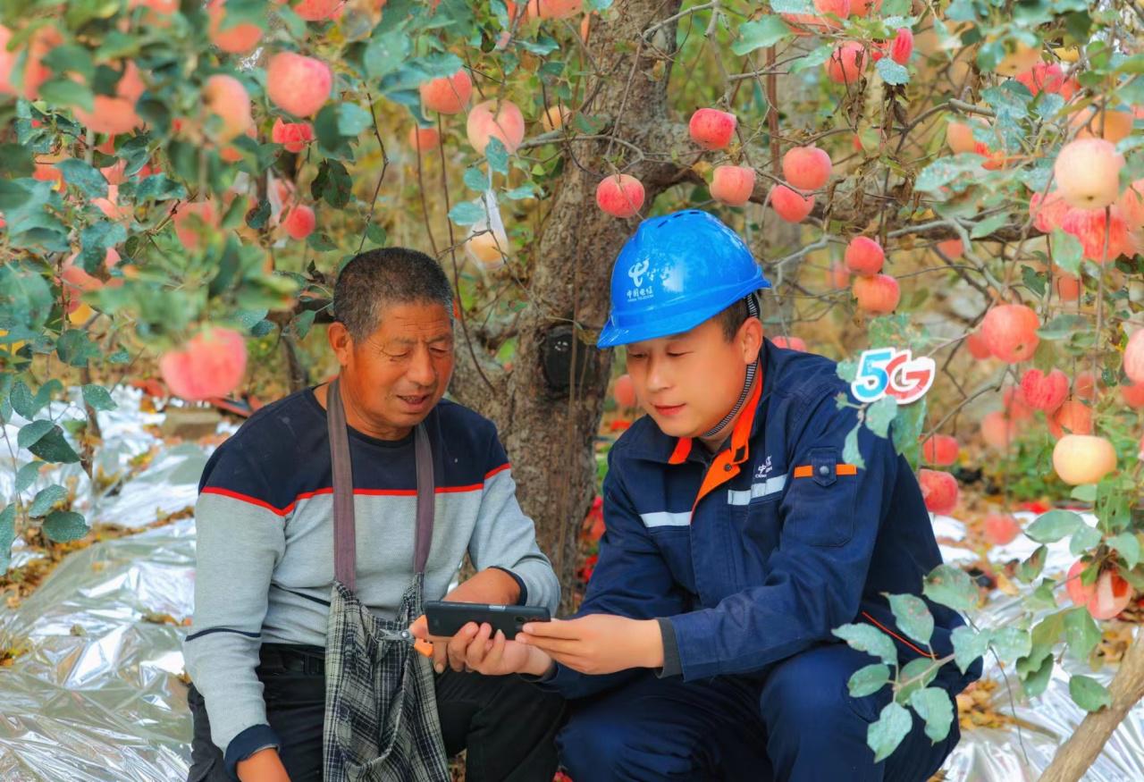 中国电信800M重耕工程_农产品溯源平台_山东农村5G数字化转型