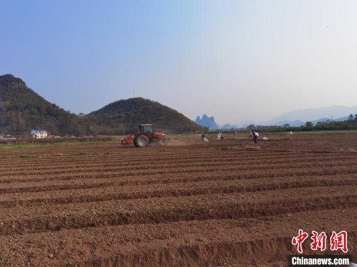 绿色农产品种植_粤桂协作粤港澳大湾区蔬菜种植示范基地_广西贺州蔬菜基地春耕