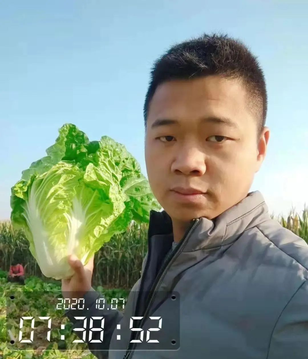 农产品经纪人赚钱吗_山东蔬菜种植销售_蔬菜产销一体化