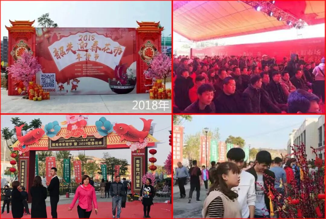 老广春节吃喝玩乐全有！迎春花市成独特年味象征