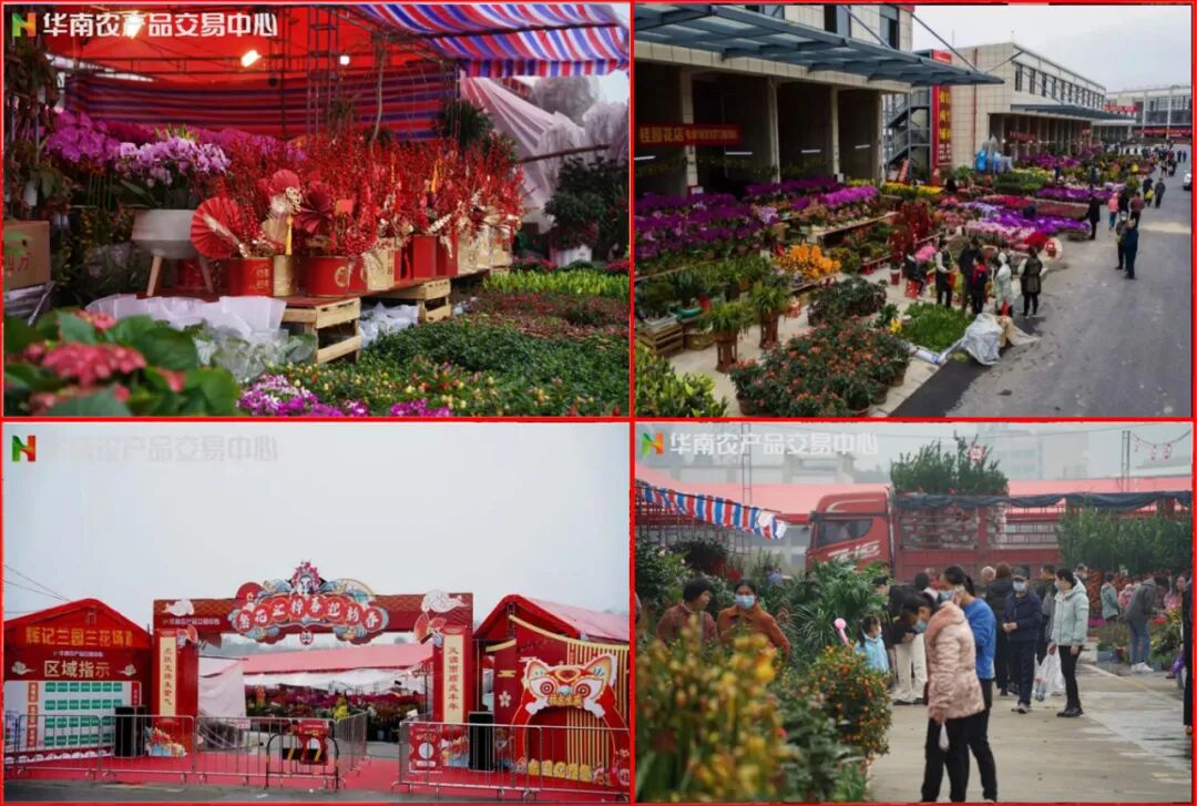 韶关迎春花市_华南农产品交易中心_华南农产品交易中心花市