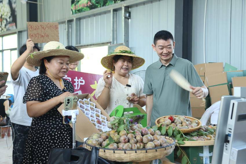 直播助农_农民朋友不可不知的99个农产品网络销售秘诀_乡村振兴