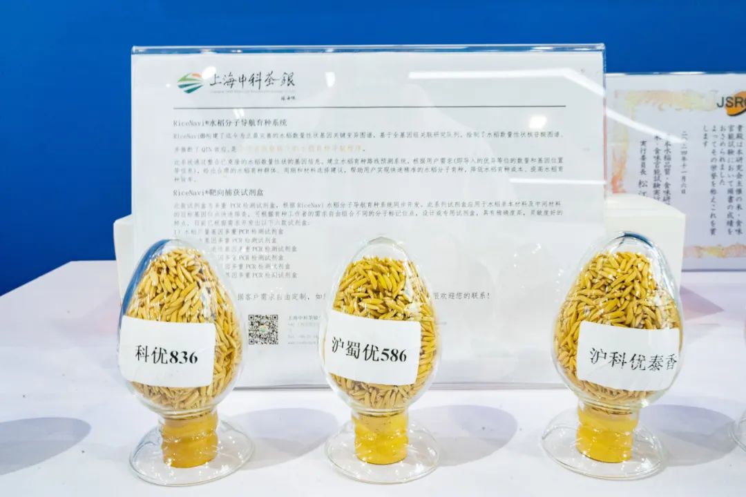 第二十一届中国国际农产品交易会_上海展区农业产业链之旅_上海农产品溯源系统