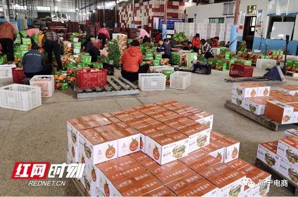 农产品信息化_湖南信息化助农行动_湖南农产品滞销信息发布平台