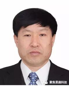 生鲜农产品冷链现状与发展趋势_生鲜农产品流通与信息化_农产品电子商务计划书