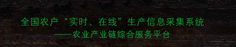 农产品电子商务计划书_三农电商商业计划书_农产品供应链数字化