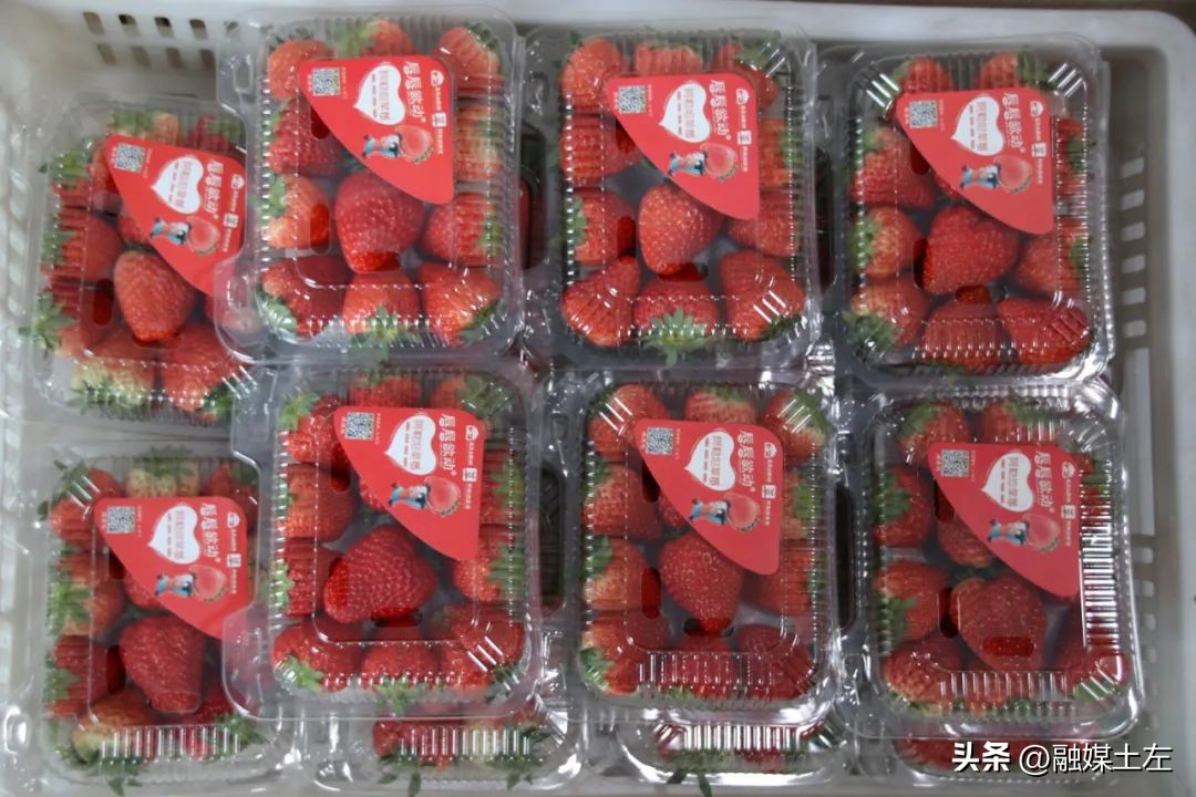 五彩土默特原产地生鲜特产中心_土默特左旗农产品品牌推广_呼和浩特农产品加盟店