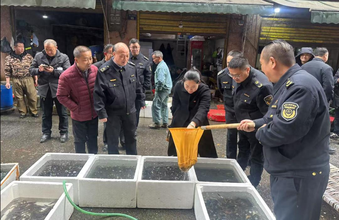 超范围超限量使用食品添加剂农残兽残超标违法行为_永州市食用农产品质量安全风险隐患排查_食用农产品监管方案