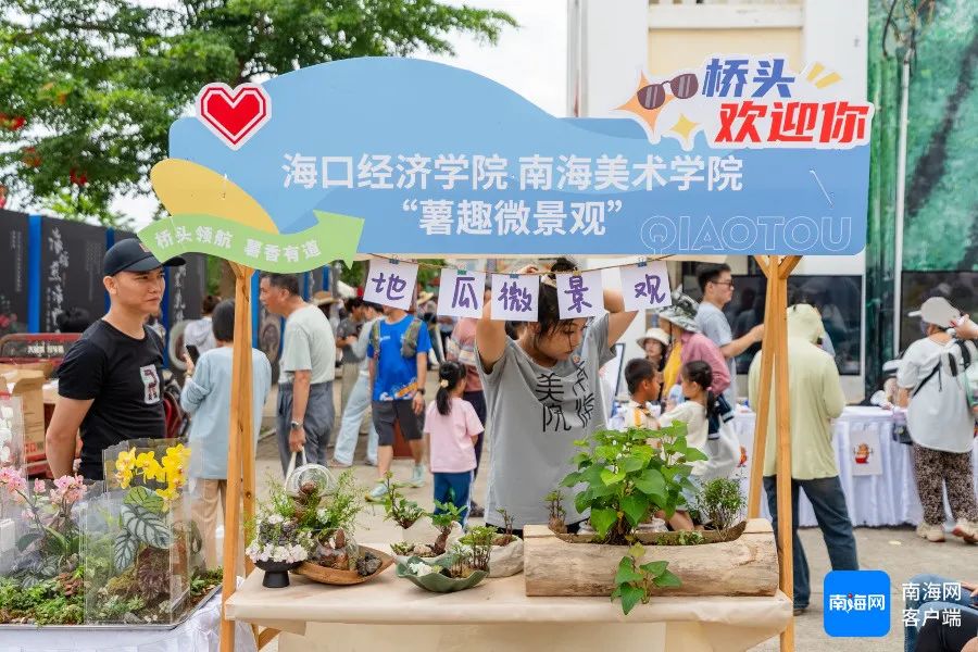 桥头地瓜产业发展历程_广东农产品红薯交易网_澄迈桥头地瓜文化季活动