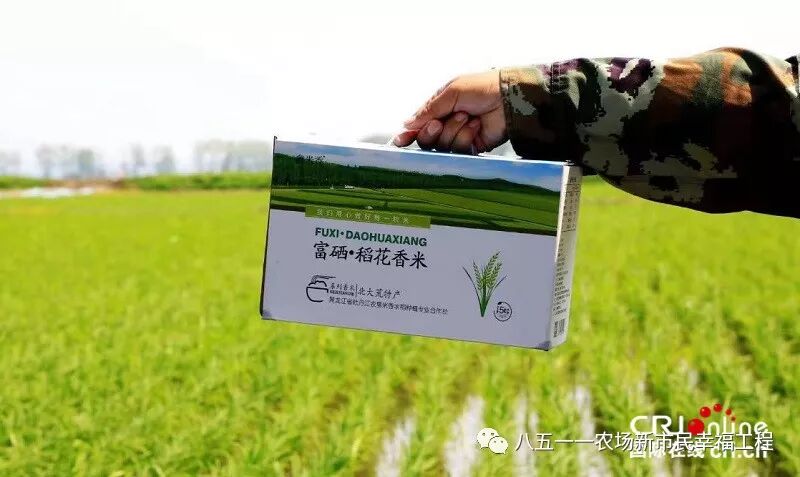 黑龙江绿色农产品_山香稻珍大米销售火爆_北大荒八五一一农场特色农产品