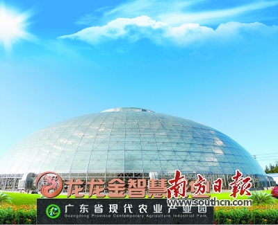 陆丰甘薯产业园 龙龙金智慧农业展馆 甘薯全产业链创新_广东农产品红薯交易网