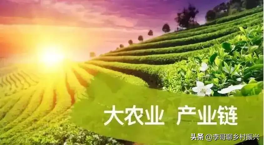 农产品供应链物流_供应链金融 农产品融资模式 核心企业信用融资