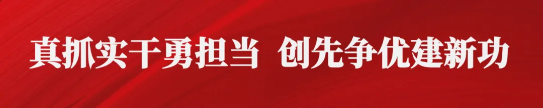 颍泉区宁老庄镇枣树行村首届枣文化节启幕，共赏玉铃铛枣甜