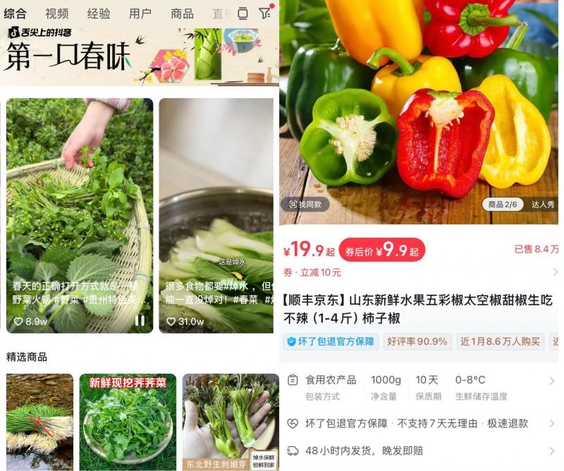 2025丰收节助农数据_抖音电商农产品消费白皮书_农产品营销策划方案