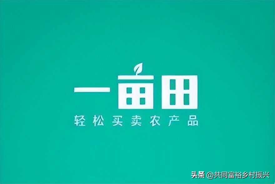 京东农产品入驻资质_农产品认证信息系统_农产品电商入驻流程