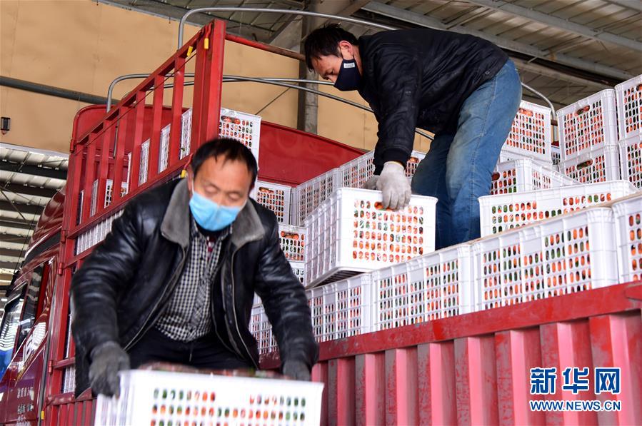 河南万邦批发市场 疫情防控 物资保障_农产品批发市场网